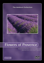 DVD Bloemen in de Provence